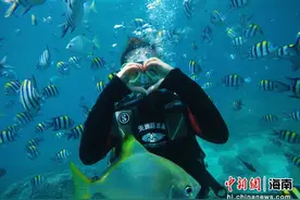 打击非法潜水！三亚多举措提升潜水旅游品质供给图片