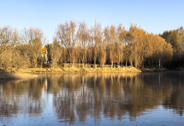 ​组图丨冬日海藏 温柔满溢