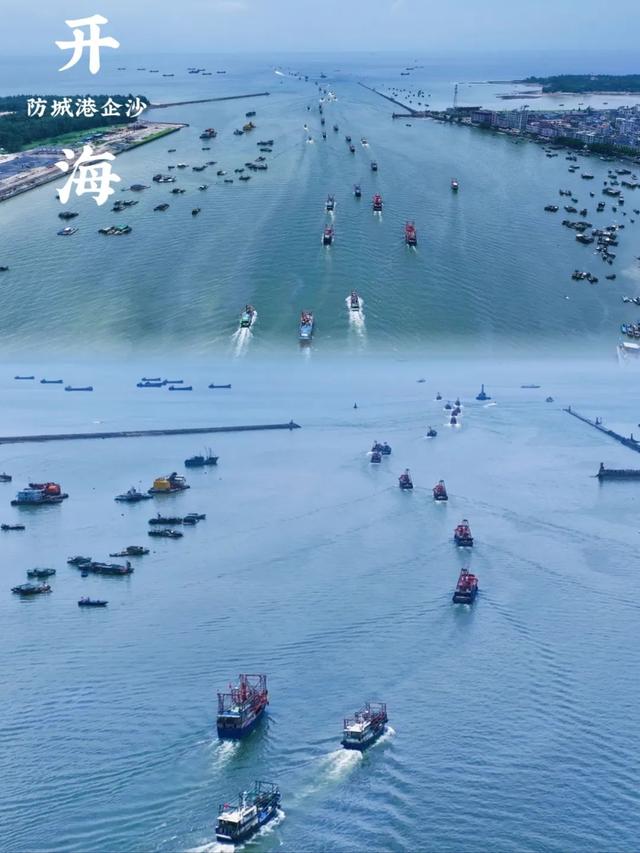 北部湾“18岁的海鲜”回来了！防城港、北海、钦州开海活动超全攻略看这篇→