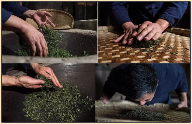 在农业文化遗产地登高丨这不止是跑步，更是一场千年茶文化的朝圣！