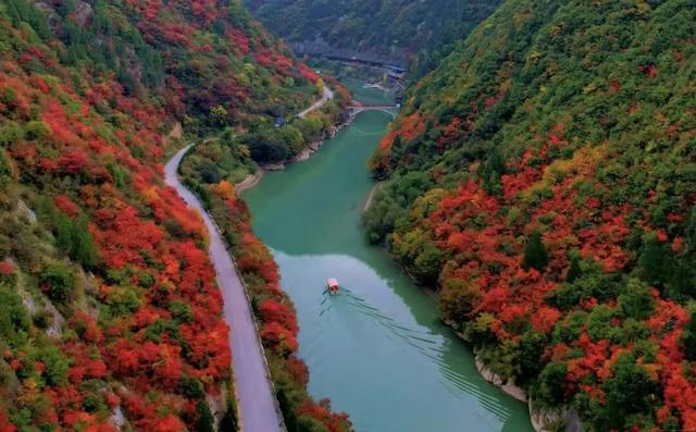 西坡镇：10月必推！最美红叶观赏地，满山红叶美得像油画！