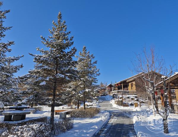 “华美”焕新 体验升级