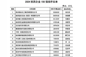 百强陕企4年变局：跌宕与崛起图片