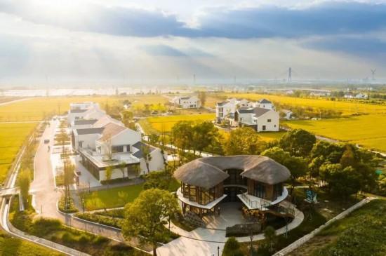 人在画中游！来上海郊野，骑进自然乡野秋韵里