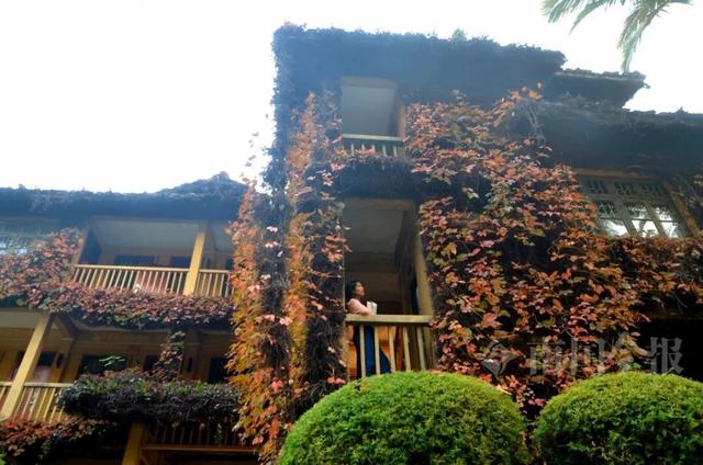 不一样了！柳州这个网红打卡点换上冬日限定“皮肤”，超出片！