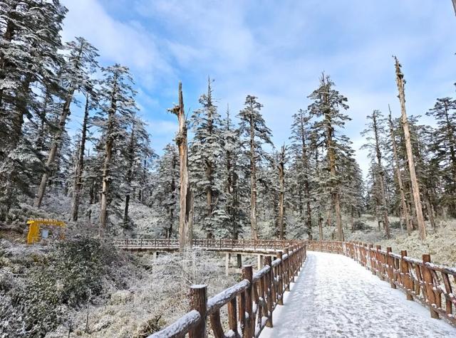 秋假封神目的地！瓦屋山飘雪啦！美到不想回家~