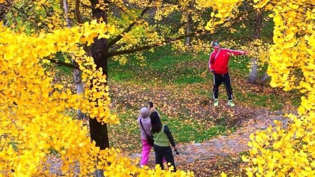韶关南雄：莫道岭南秋来晚，帽子峰前始见金