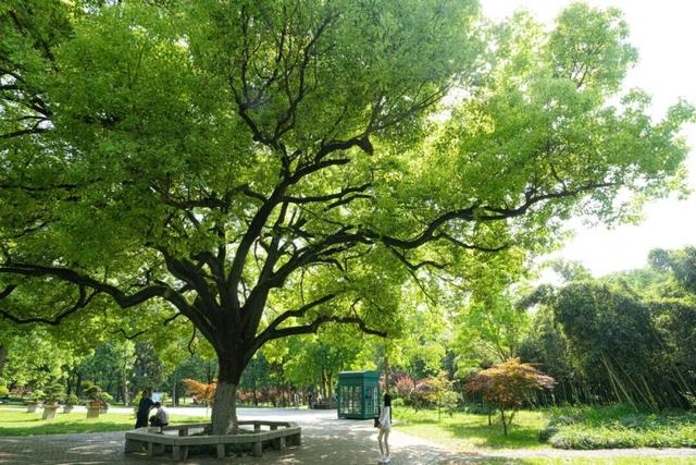 四时天工 扬州如画