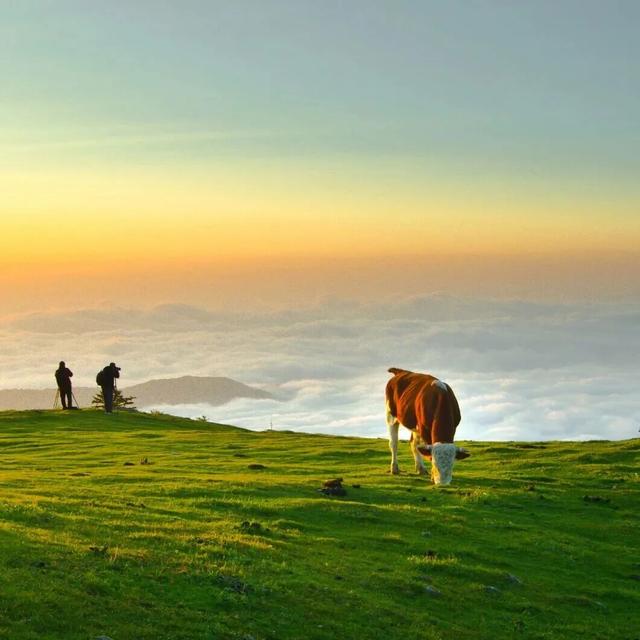 乘着高铁游白山 | “百区百景”打卡攻略之江源区仙人谷风景区