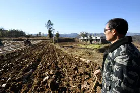新华走笔丨侯文坤：脱贫村盲老汉听春声图片