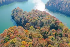 #（社会）贵州百里杜鹃：色彩斑斓景如画图片