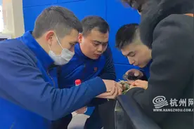 消防员帮鹦鹉“剪脚环” 真是考验技术图片