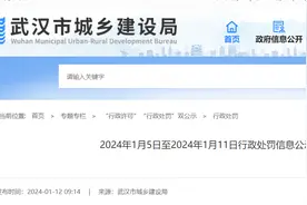 中信建筑设计研究总院有限公司违反建设工程质量管理条例被罚11万图片