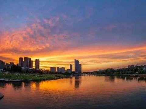 北京号最精彩 | 太惊喜！京城第一波蜡梅开啦！位置就在——