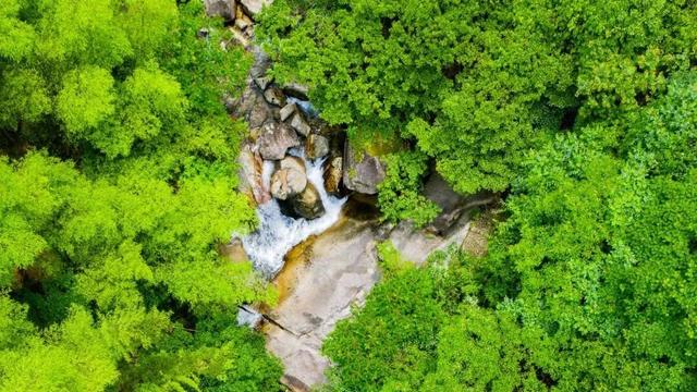 2026来江西，春夏秋冬都有趣！