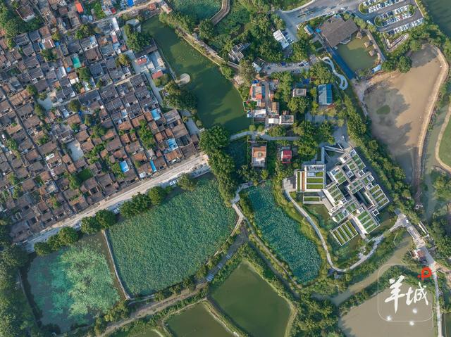 广州历史文化名城保护新规征求意见：不满30年也可确定为历史建筑