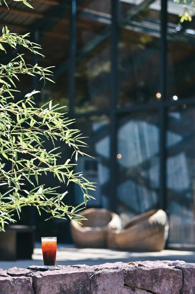 安纳班纳·泰宁 | 在时间的褶皱里，呼吸一场丹霞旧梦