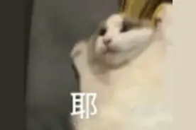 春假来啦，连休5天！还有更长的......图片