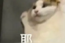 春假来啦，连休5天！还有更长的......图片