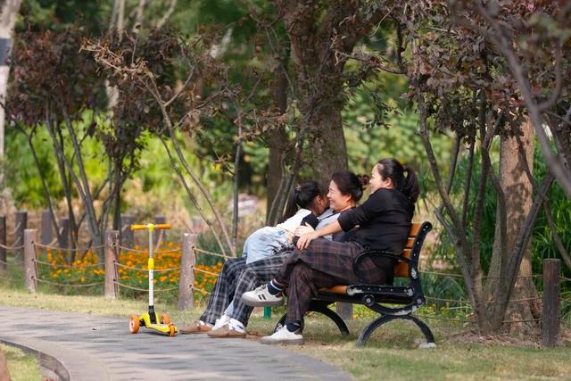 松江这里的健身步道变身金色走廊，快来打卡→