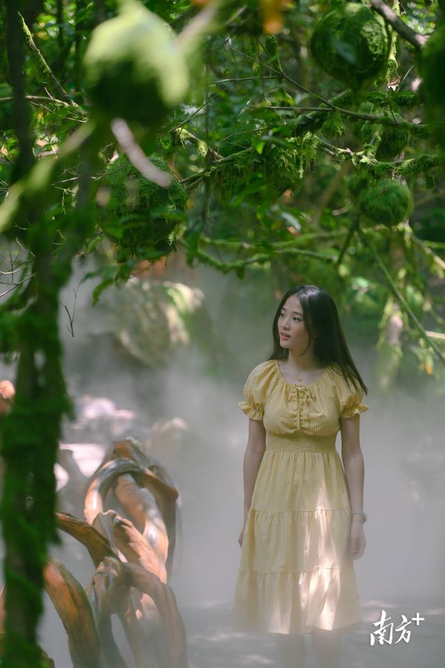 请到清城过暑假｜清城区三天两夜游精品线路④清凉一夏·户外探趣之旅
