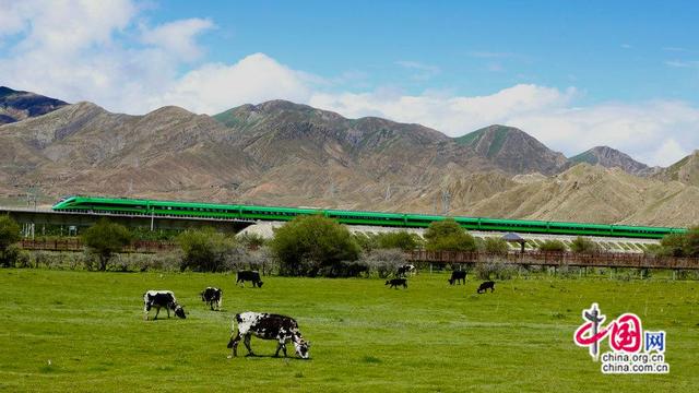 高原“复兴号”列车如绿色长龙穿梭雪域高原