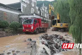 祁阳：洪涝退后重建忙 龙溪李家大院初步完成清理图片