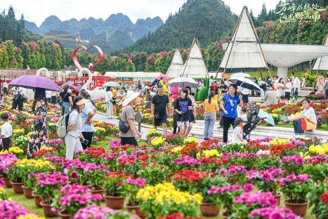 秋景·黔西南｜此情此景，此城一片秋