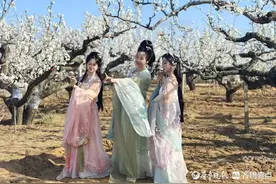 图集︱仙境烟台，美美与共！打卡莱阳梨乡，领略汉服与梨花的魅力图片