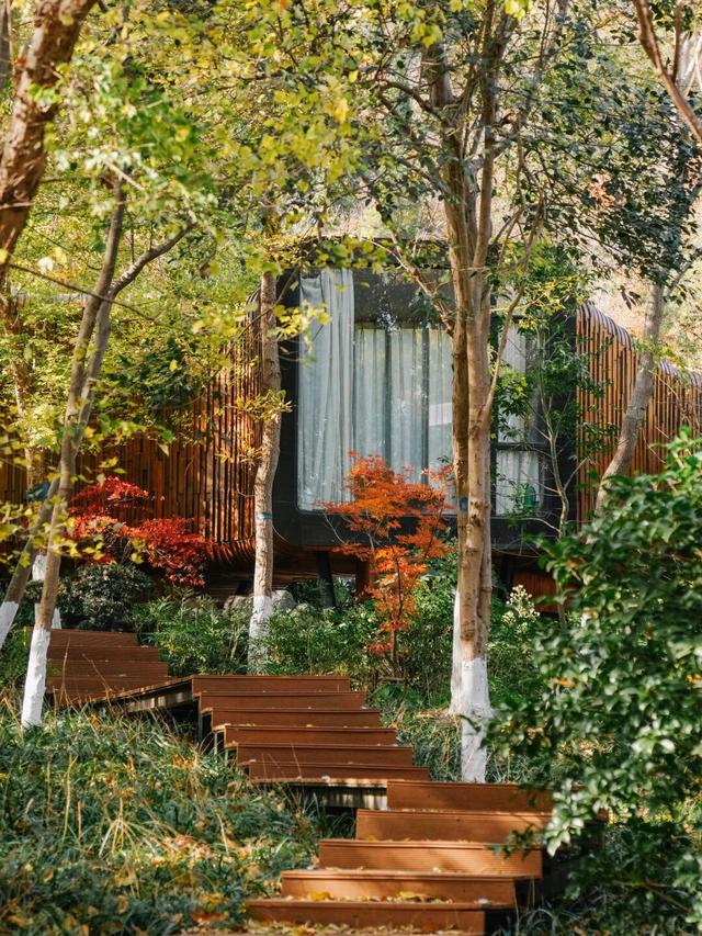 本周六锁定汤山矿坑！看免费演出逛热闹市集，2026「水韵江苏・邀您过大年」我们不见不散！