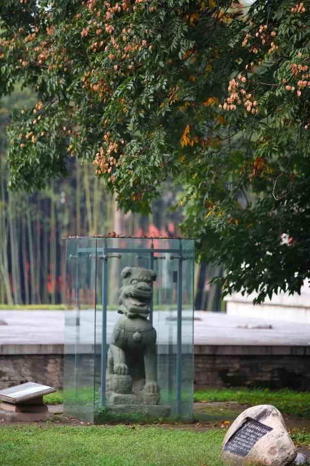 初秋诗意盎然，这些景区你打卡了吗？