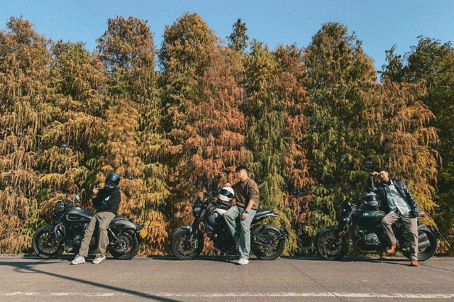 一眼心动的绝美“小森林”，在伦教找到了！