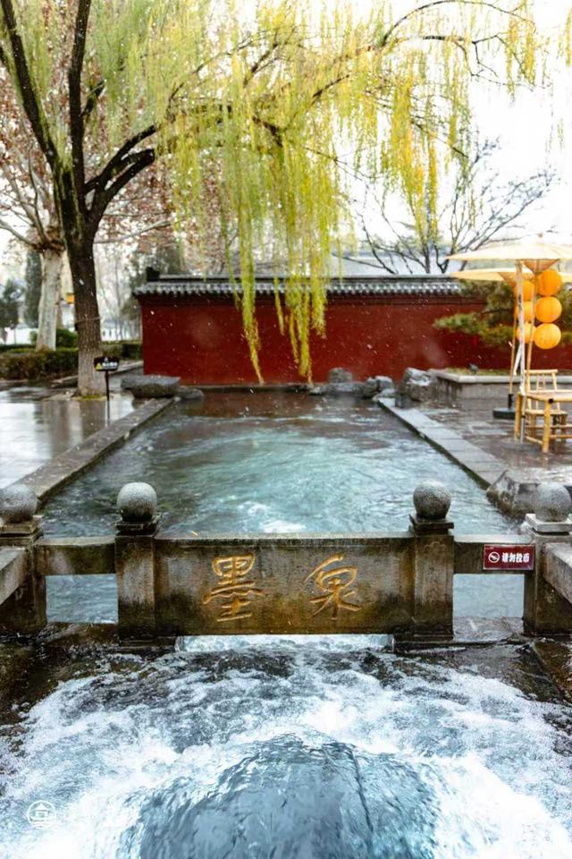 一城山海，一城泉韵！清照泉城赴青岛携手开启双城“泉式”度假新篇