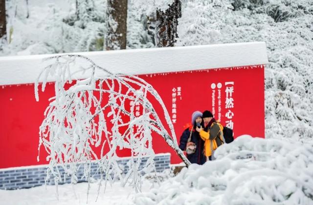 冷空气预警！鹅毛大雪即将突袭瓦屋山！