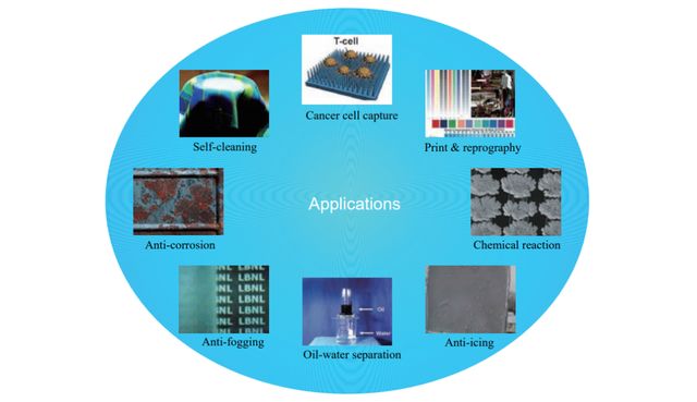 荷叶为什么能“出淤泥而不染”？一起揭开大自然“表面艺术”的秘密 | 活动报名