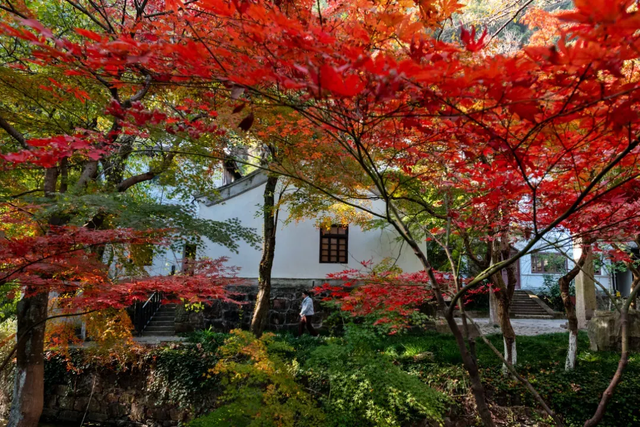 阿锡，赏秋正当时，你我皆风景！