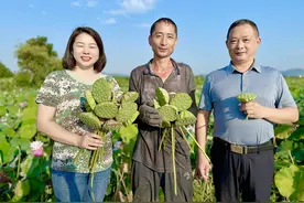 人民的代表｜沈容：用万亩荷塘助力乡村振兴图片