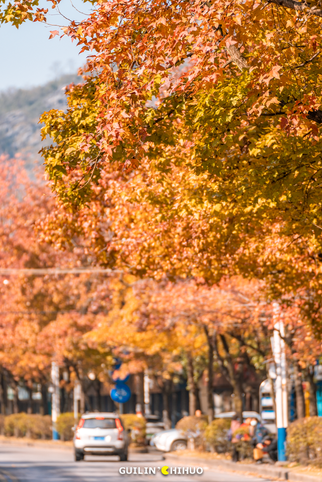 冬至丨解锁桂林的多彩冬天！