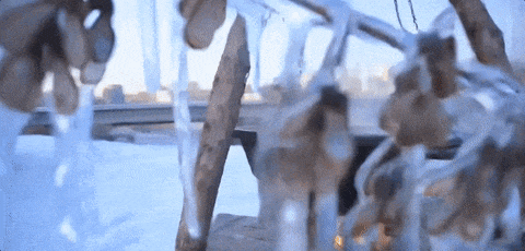 辽宁，能处！央视推荐！来辽宁赴一场山海之约