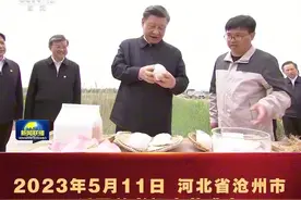 跟着总书记看中国｜“碱嘎巴”变出“金疙瘩”图片