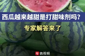 西瓜越来越甜是打了甜味剂？专家解答来了图片