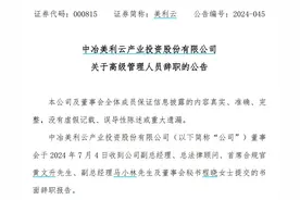 V观财报｜美利云三名高管同日辞职，什么情况？图片