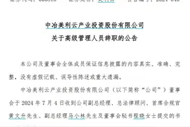 V观财报｜美利云三名高管同日辞职，什么情况？图片