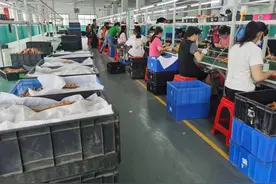 “闲置存量”变“发展增量”——广西玉林盘活闲置低效用地走访见闻图片