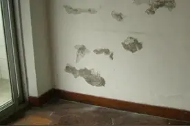 原有墙面腻子是否需要铲除？图片