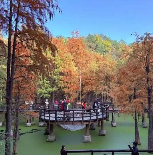 中国新能源汽车行业第三季度表现_问界汽车盈利分析_问界