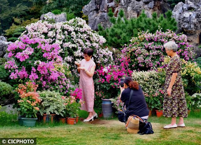 秋游花海,如行“花毯”