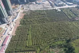 3.49亿成交，溢价率37.4%！开平土拍开门红图片