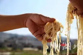 蕲春张塝的这道美食，承载着我们儿时的记忆图片