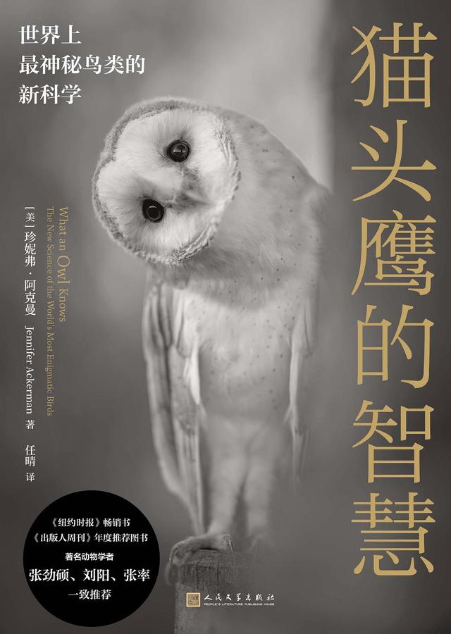 除了对荒谬的激情，我已经一无所有｜一周新书推荐